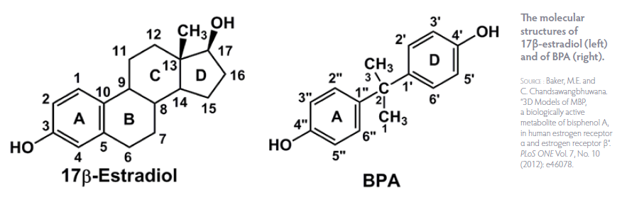 17β-Estradiol molecule